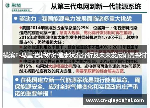 横滨F·马里诺斯财务健康状况分析及未来发展前景探讨 横滨F·马里诺斯财务健康状况分析及未来发展前景探讨
