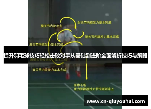 提升羽毛球技巧轻松击败对手从基础到进阶全面解析技巧与策略 提升羽毛球技巧轻松击败对手从基础到进阶全面解析技巧与策略