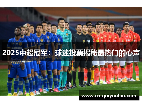 2025中超冠军：球迷投票揭秘最热门的心声