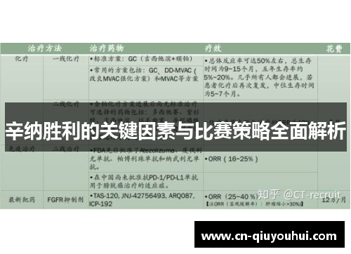 辛纳胜利的关键因素与比赛策略全面解析 辛纳胜利的关键因素与比赛策略全面解析