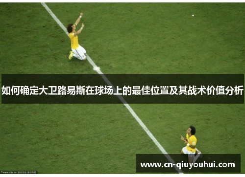 如何确定大卫路易斯在球场上的最佳位置及其战术价值分析 如何确定大卫路易斯在球场上的最佳位置及其战术价值分析